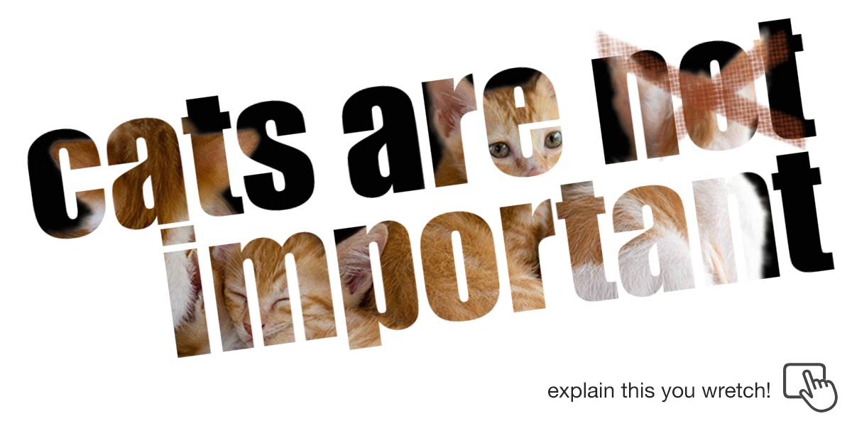 cats are not important